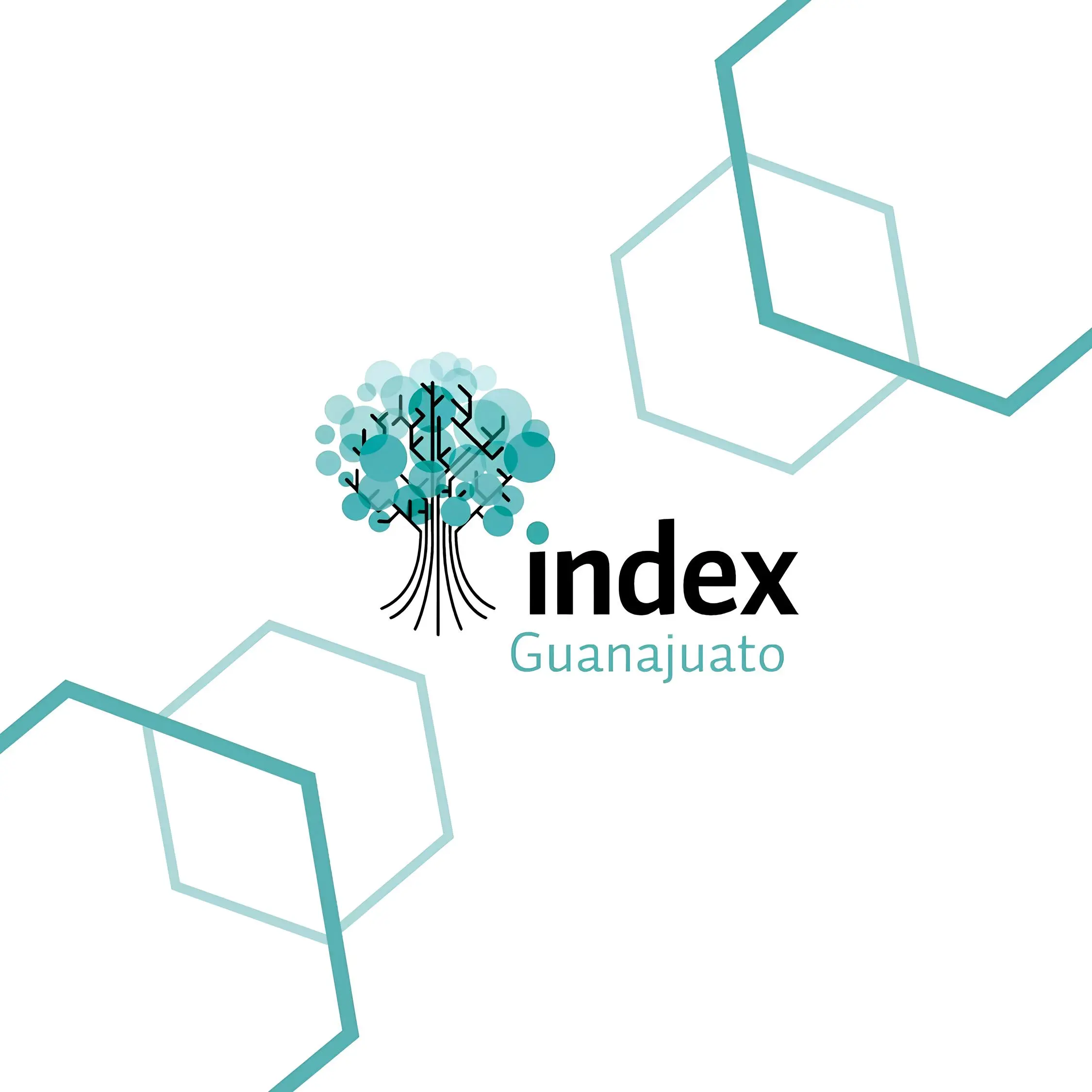 index logo